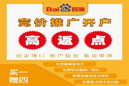 百度推广技巧：案例解析